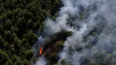 Muğla Fethiye'de orman yangını
