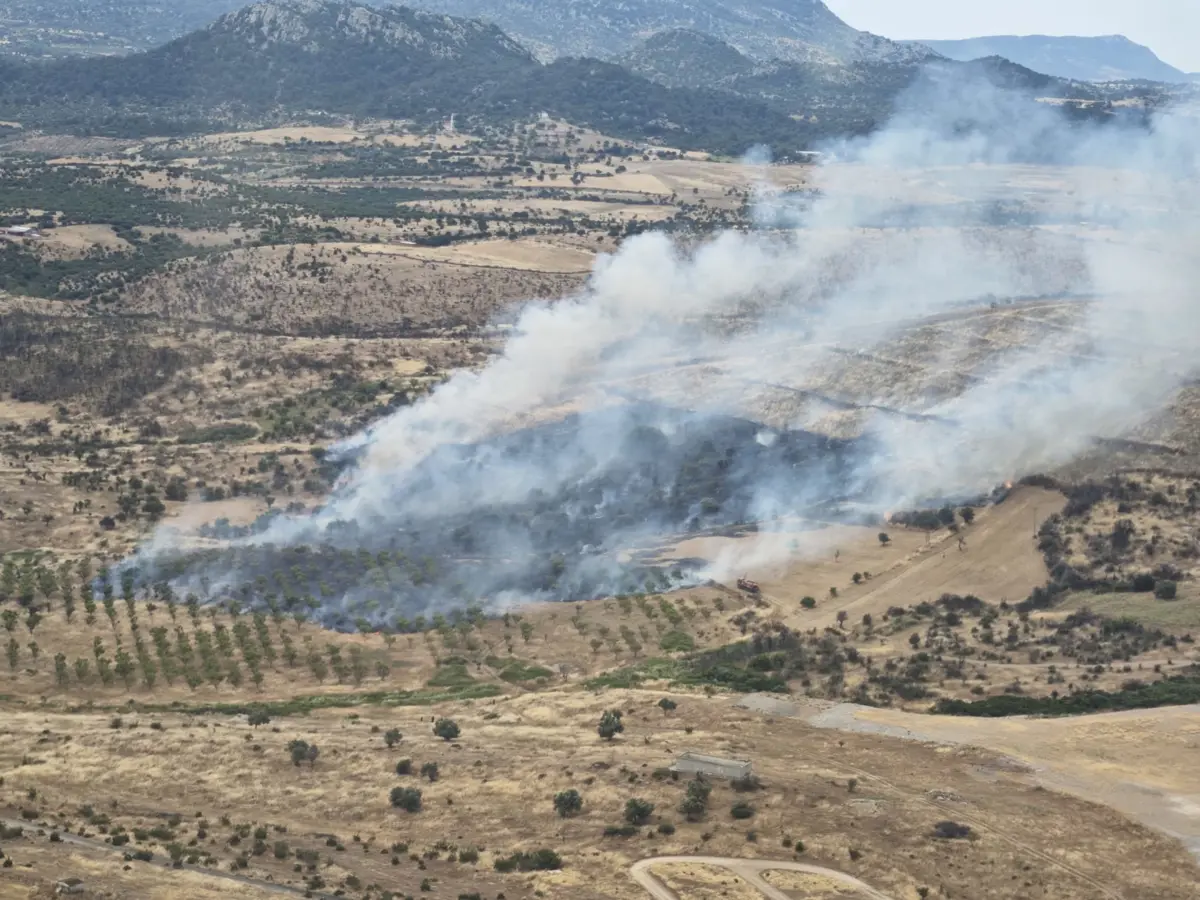 Çanakkale'deki orman yangını kontrol altında