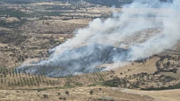 Çanakkale'deki orman yangını kontrol altında