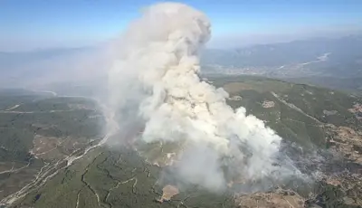 Muğla'da orman yangını. Ekiplerin müdahalesi sürüyorMuğla'nın Seydikemer ilçesinde çıkan orman yangınına havadan ve karadan müdahale ediliyor.