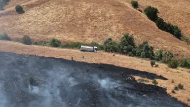 Tunceli'de otluk alandan ormana sıçrayan yangın söndürüldü