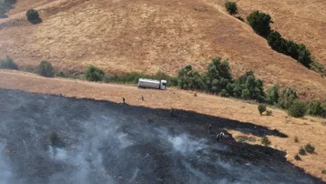 Tunceli'de otluk alandan ormana sıçrayan yangın söndürüldü