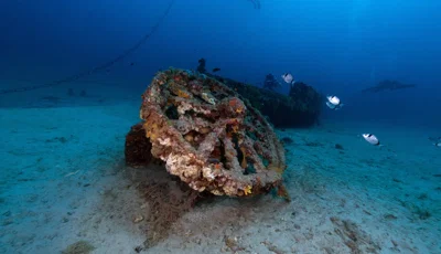 Çanakkale Savaşları'na tanıklık eden batıklar görüntülendiÇanakkale Savaşları'na tanıklık eden batıklar Büyük Zafer'in 104. yıl dönümünde görüntülendi.