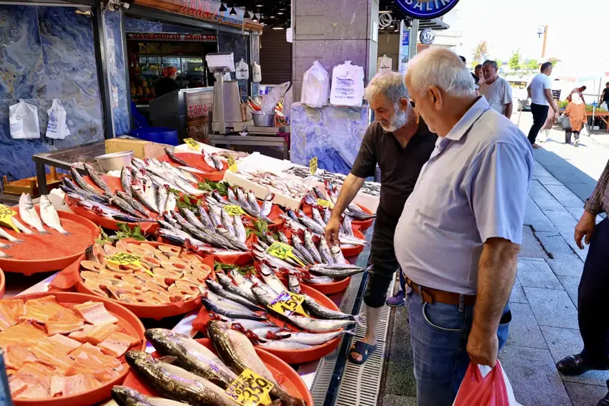 PALAMUDUN TANESİ 150, İSRAVRİT VE HAMSİNİN KİLOSU 250 LİRA 1 PALAMUDUN TANESİ 150, İSRAVRİT VE HAMSİNİN KİLOSU 250 LİRA 1