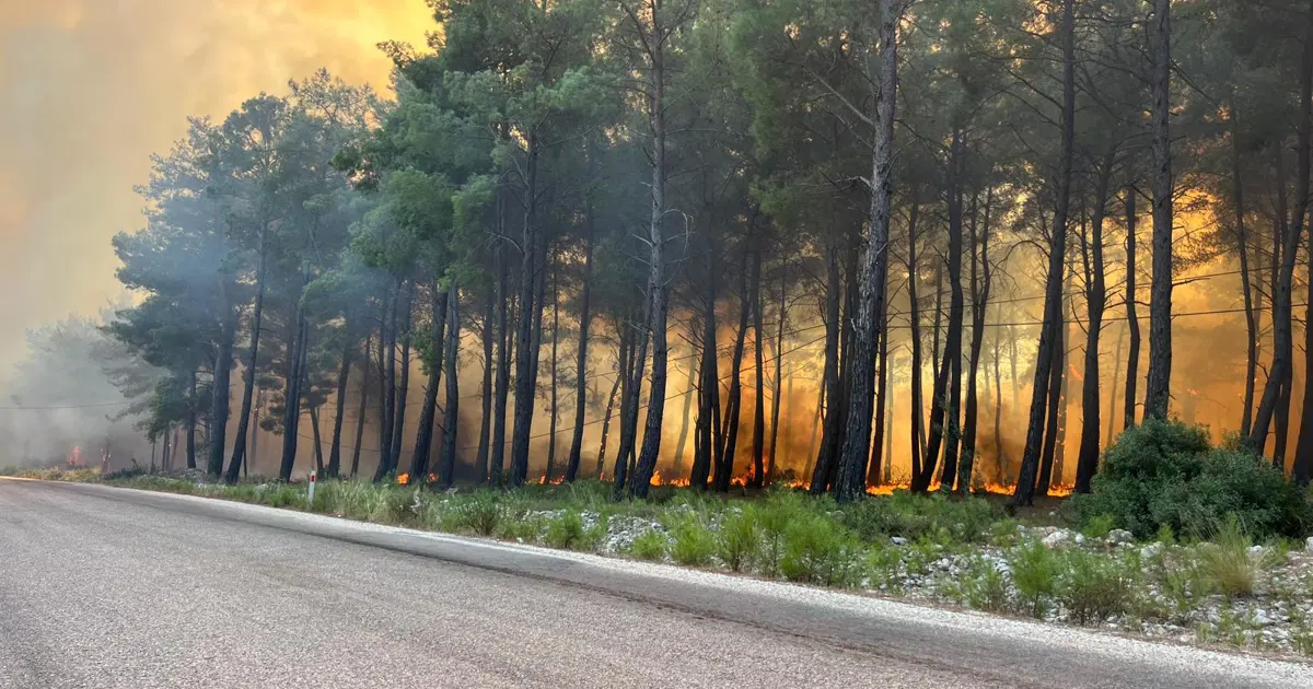 Muğla'daki orman yangını Antalya Kaş'a sıçradı. Evler, ahırlar ve seralar yandı