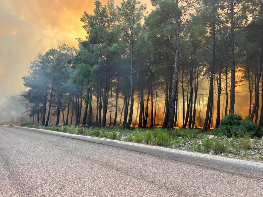 Muğla'daki orman yangını Antalya Kaş'a sıçradı. Evler, ahırlar ve seralar yandı 1
