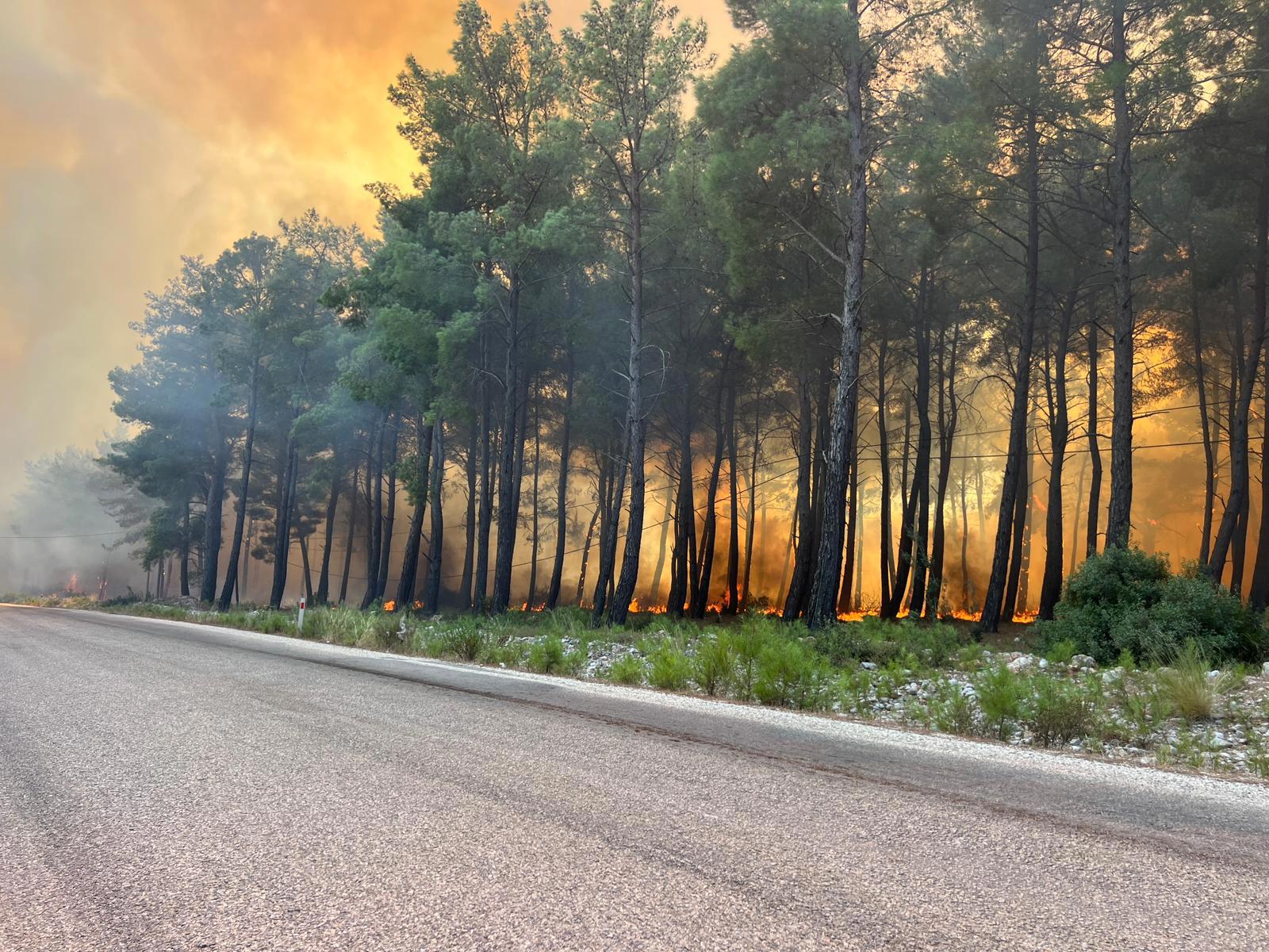 Muğla'daki orman yangını Antalya Kaş'a sıçradı. Evler, ahırlar ve seralar yandı