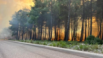 Muğla'daki orman yangını Antalya Kaş'a sıçradı. Evler, ahırlar ve seralar yandı