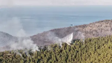 Muğla Milas'ta orman yangını