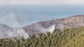 Muğla Milas'ta orman yangını