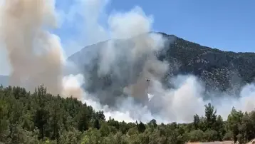 Antalya'da orman yangın: Ekipler müdahale ediyor