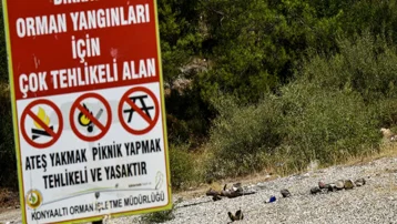 Antalya'da uyarı tabelasının dibinde mangal yaktılar. Cezalara da yasağa da aldırmadılar