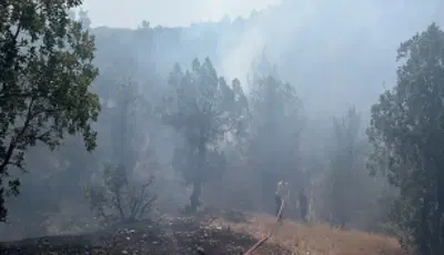 Bursa'daki orman yangını kontrol altındaBursa'nın Büyükorhan ilçesinde çıkan orman yangını, havadan ve karadan müdahalelerle kontrol altına alınarak söndürüldü.