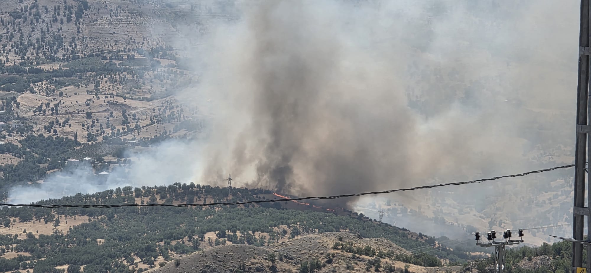 Adıyaman'da orman yangını. Ekipler müdahale ediyor