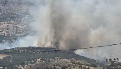 Adıyaman'da orman yangını. Ekipler müdahale ediyorAdıyaman'ın Gerger ilçesinde orman yangını yangın çıktı. Ekiplerin alevlere havadan ve karadan müdahalesi sürüyor.