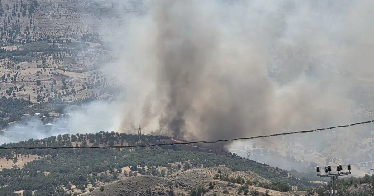 Adıyaman'da orman yangını. Ekipler müdahale ediyor
