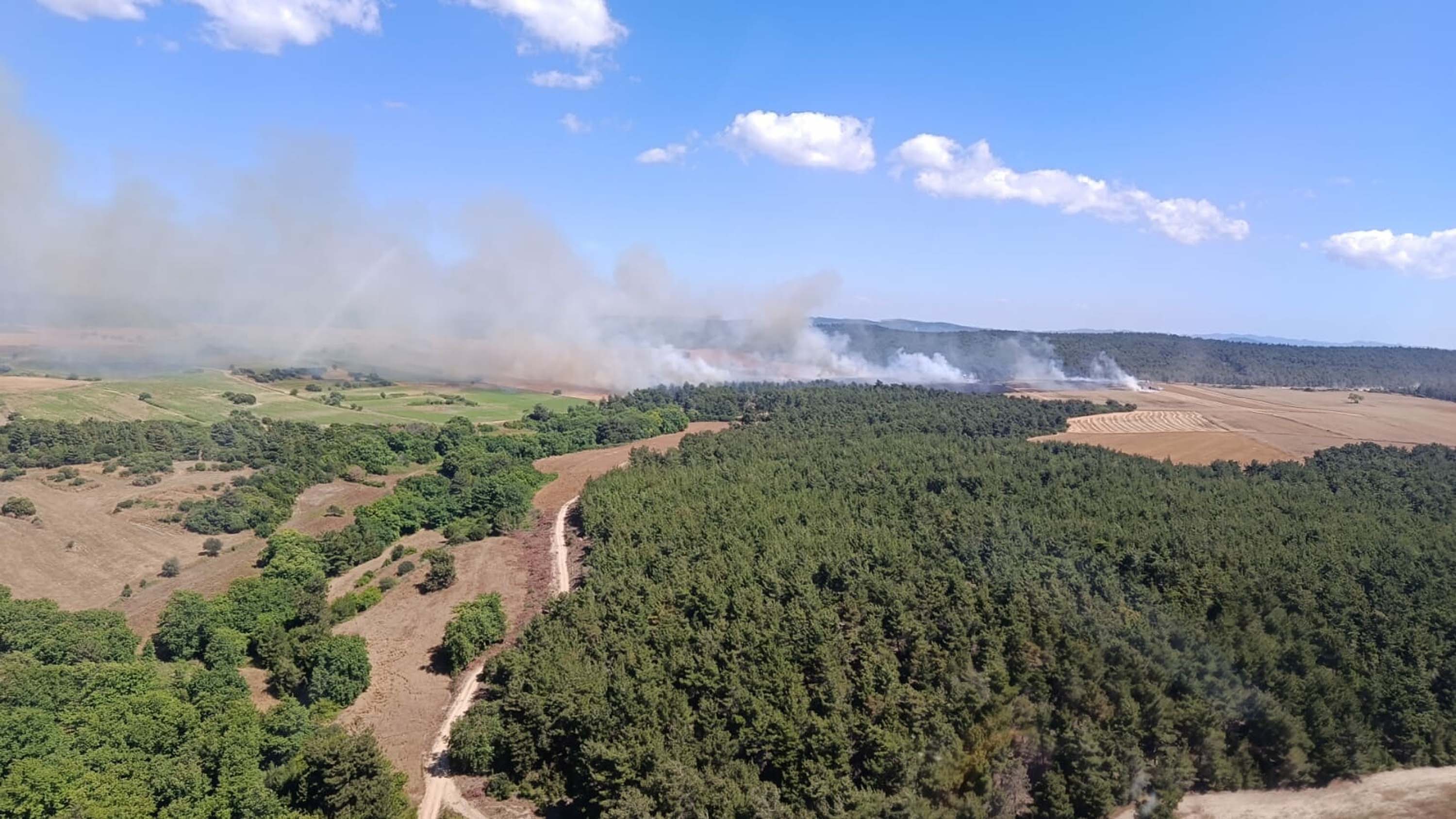 Çanakkale'deki orman yangını kontrol altında