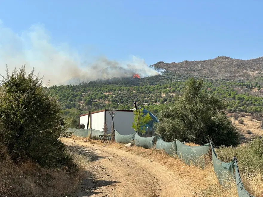 İzmir'de orman yangını 1