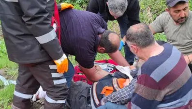 Sivas'ta korku dolu anlar: Mantar toplarken ayı saldırısına uğradı