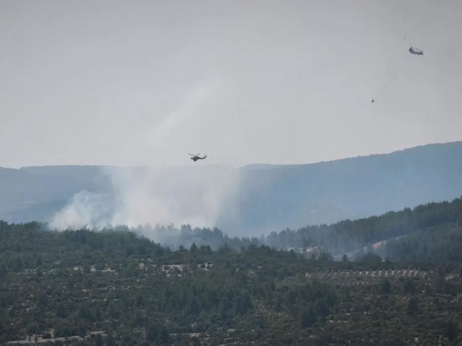 Muğla'da orman yangını: Ekipler müdahale ediyor