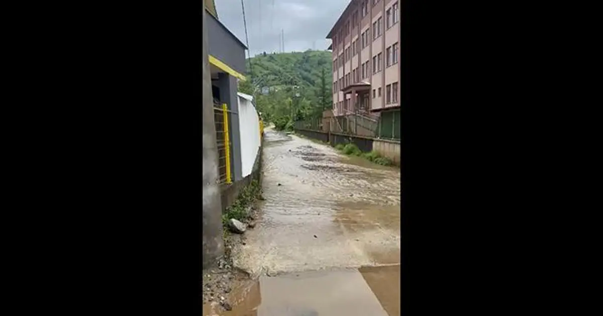 Rize'de sağanak: Çay fabrikasını su bastı | NTV Haber