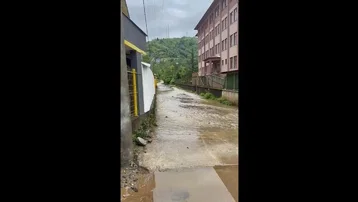 Rize'de sağanak: Çay fabrikasını su bastı