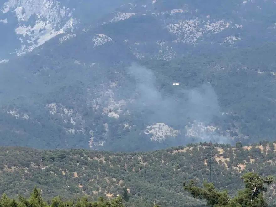 Kazdağı Milli Parkı'ndaki orman yangını kontrol altında 1