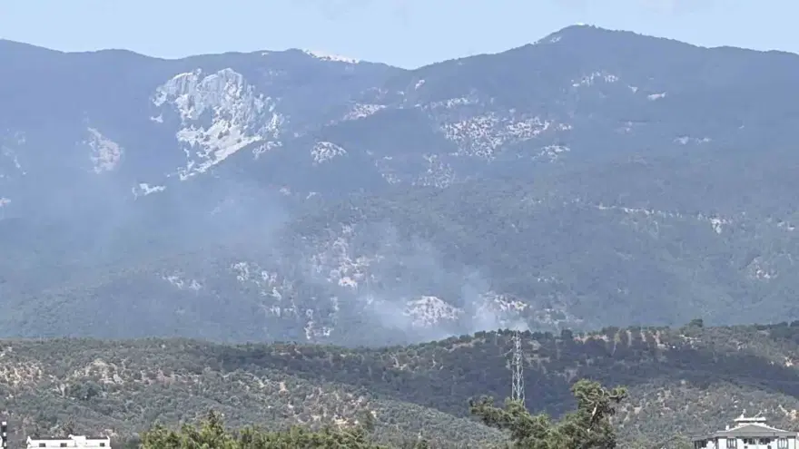 Kazdağı Milli Parkı'ndaki orman yangını kontrol altında 2