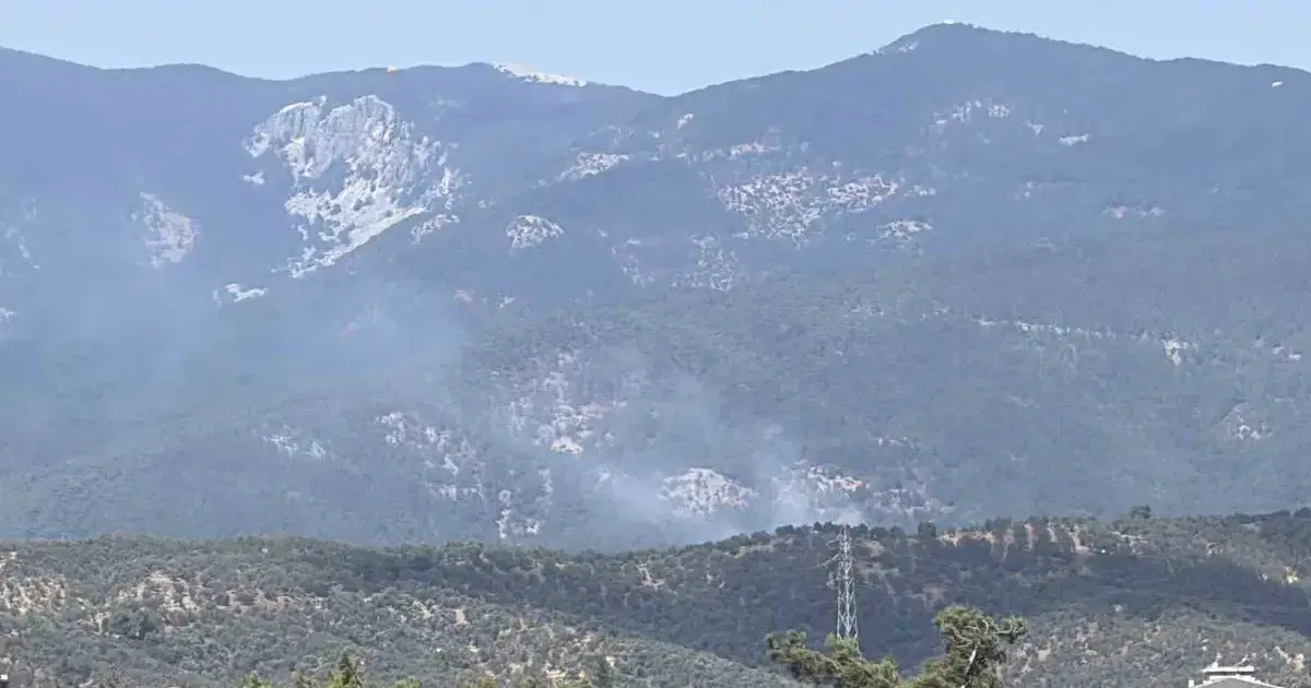 Kazdağı Milli Parkı'nda orman yangını