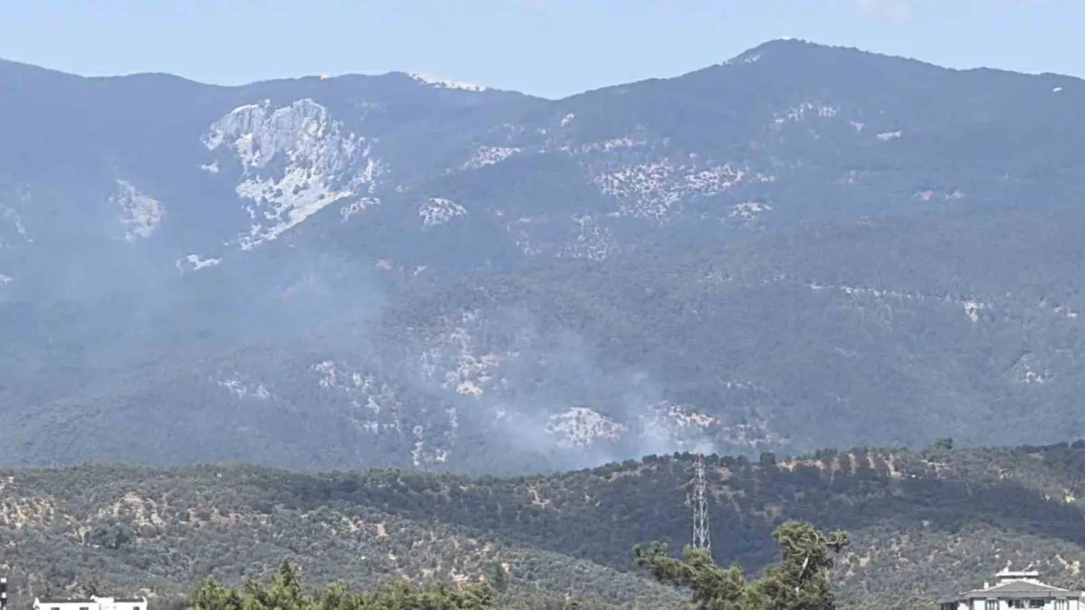 Balıkesir Edremit'te orman yangını. Ekipler müdahale ediyor