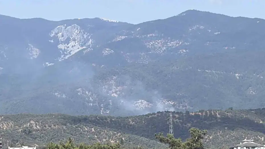Balıkesir Edremit'te Orman Yangınına Hızla Müdahale Ediliyor