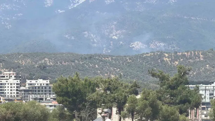 Kazdağı Milli Parkı'ndaki orman yangını kontrol altında 3