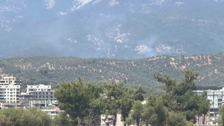 Kazdağı Milli Parkı'ndaki orman yangını kontrol altında