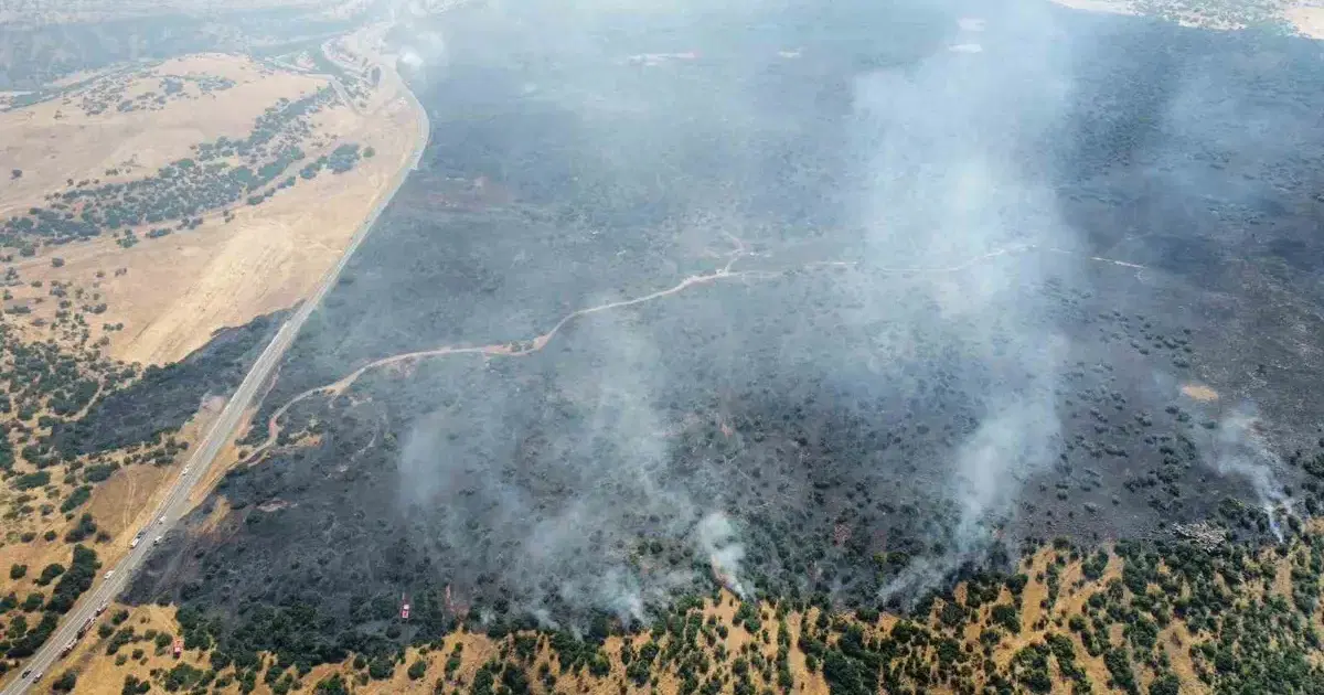 Elazığ'da orman yangını. Ekipler müdahale ediyor