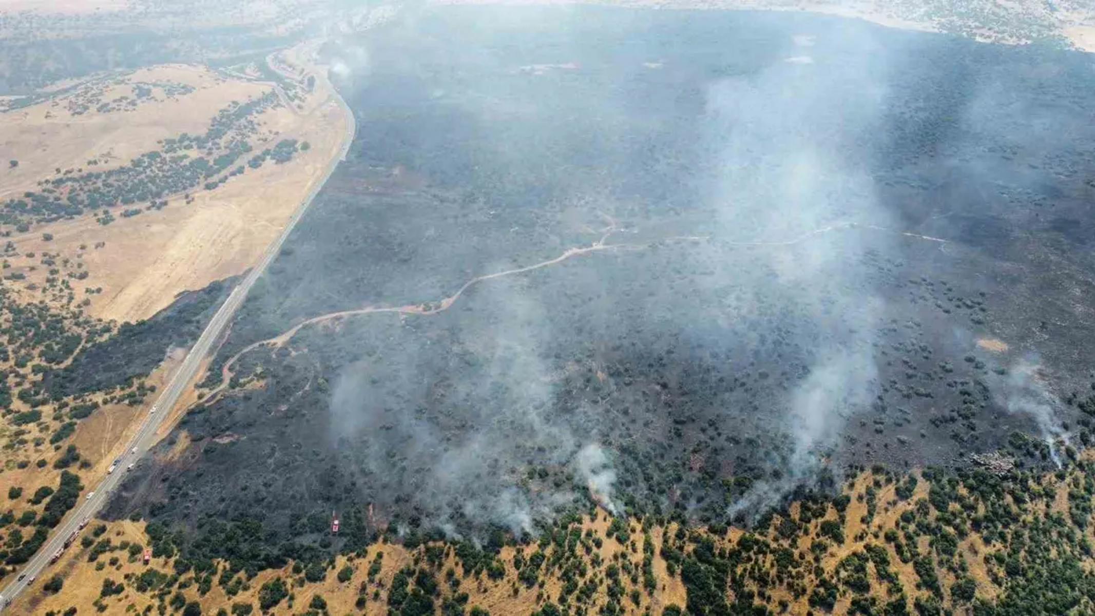 Elazığ'da orman yangını. Ekipler müdahale ediyor