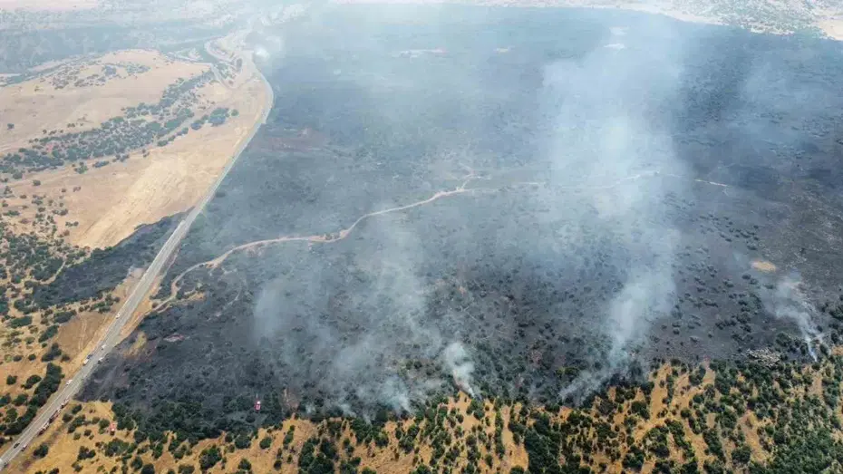 Elazığ’daki orman yangını kontrol altında