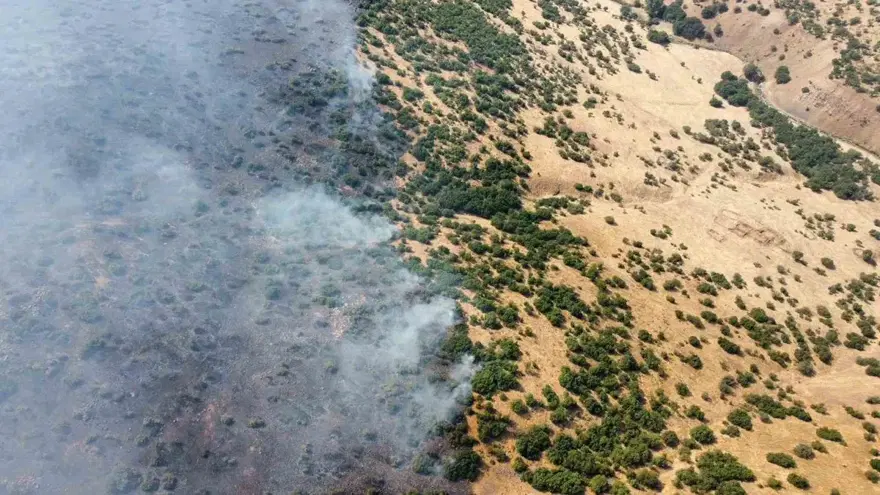 140 HEKTARA YAKIN ALAN ZARAR GÖRDÜ 1 140 HEKTARA YAKIN ALAN ZARAR GÖRDÜ 1