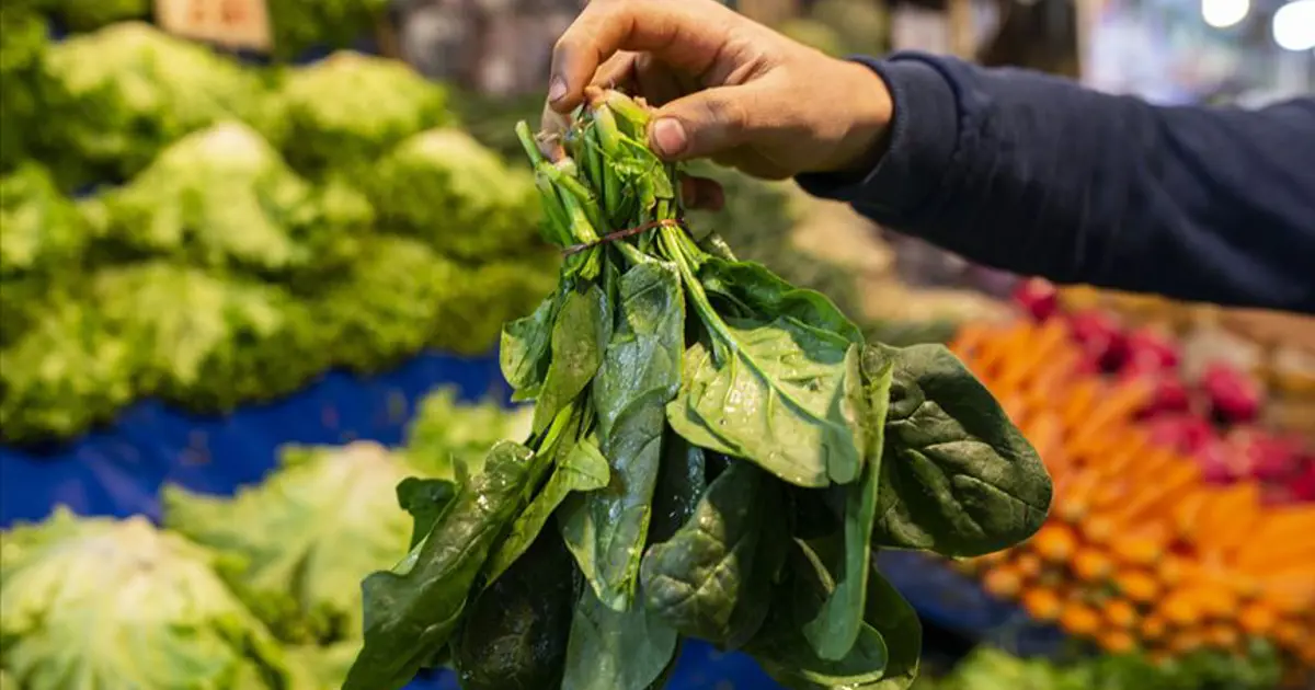 Ispanak sanıp yediler, tek tek fenalaştılar: 11 kişi hastanelik oldu, birinin durumu ağır