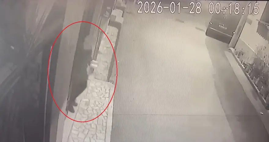 Kocasını 15 parçaya ayırıp çöpe attı. Emekli polis kan donduran cinayete kurban gitti 3