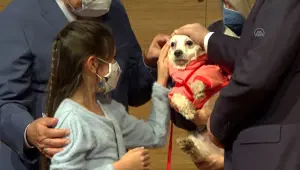 20 köpek kurayla sahiplendirildi (Bodrum katta bulunmuşlardı) 20 köpek kurayla sahiplendirildi (Bodrum katta bulunmuşlardı)