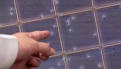 17 yıl sperm bağışladı, doğan bebeklerin 10'u kanser, bazıları öldü