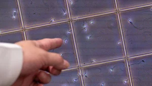 17 yıl sperm bağışladı, doğan bebeklerin 10'u kanser, bazıları öldü 17 yıl sperm bağışladı, doğan bebeklerin 10'u kanser, bazıları öldü