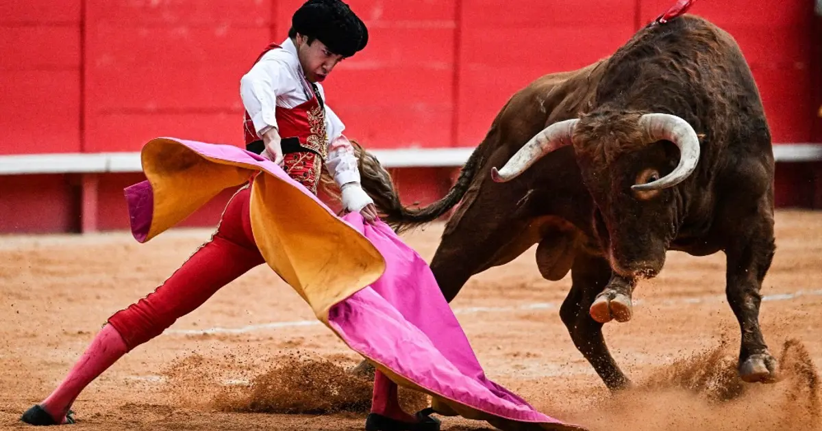 İspanya'da boğa karnavalı bu kez can aldı, 1 seyirci öldü