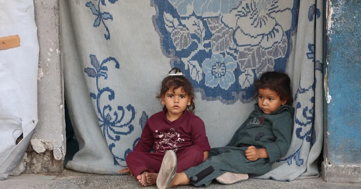 Gazze kamplarında haşere istilası. Çocukları fareler ısırıyor