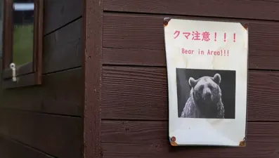 Ayılar şehirlerde: Japonya emekli polis ve askerleri göreve çağırdı