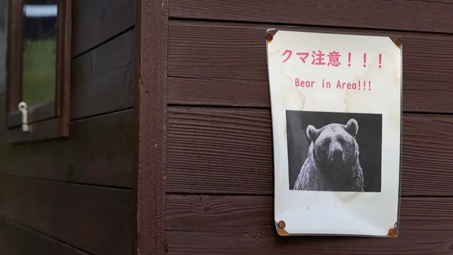 Ayılar şehirlerde: Japonya emekli polis ve askerleri göreve çağırdı