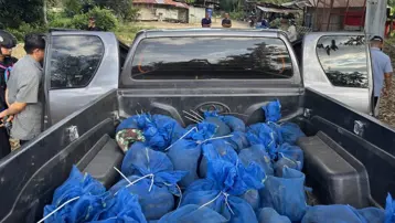 Tayland sınırında 143 maymun mavi torbalarda yakalandı