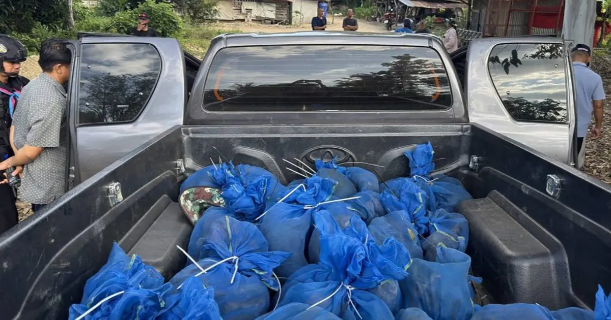 Tayland sınırında 143 maymun mavi torbalarda yakalandı