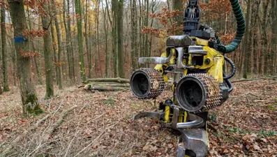 Almanya'da ağaç dalları araba lastiklerine dönüyor