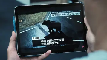 Japonya'da ayılara karşı yeni uyarı işaretleri